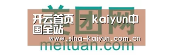 美团网