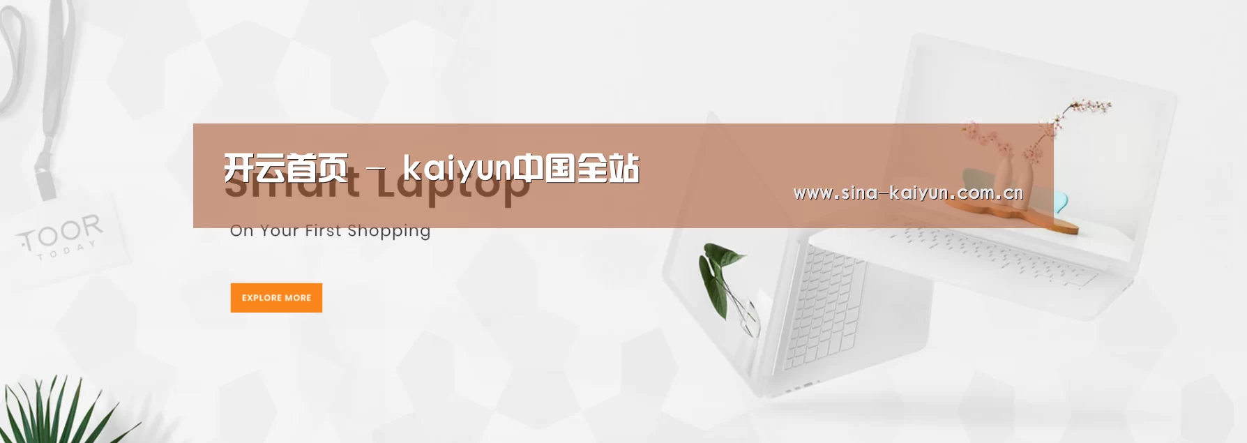 某某网络科技有限公司