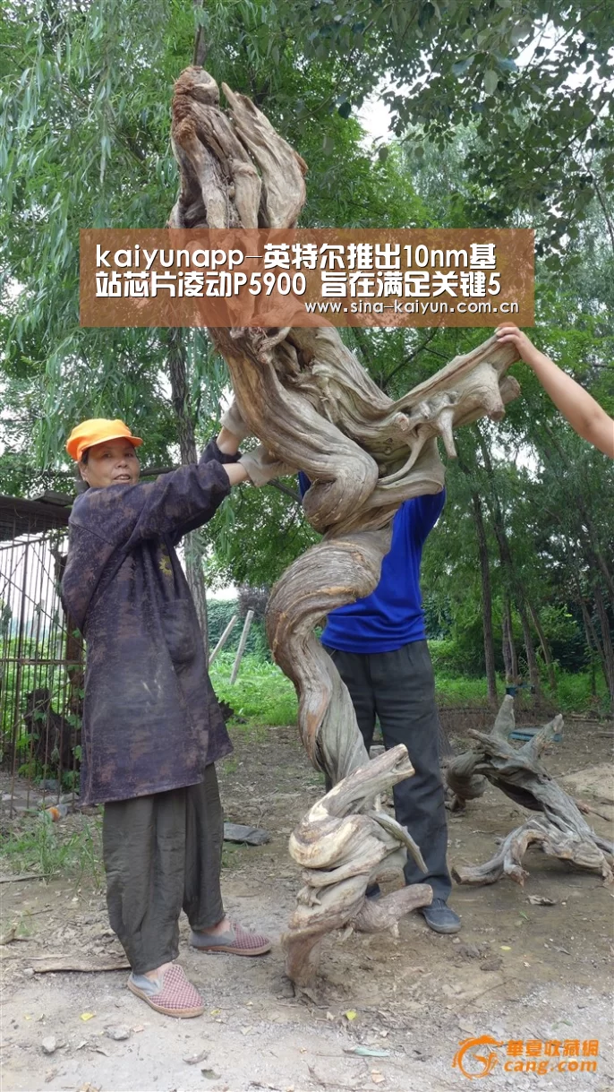 kaiyunapp-英特尔推出10nm基站芯片凌动P5900 旨在满足关键5G网络需求(图2)
