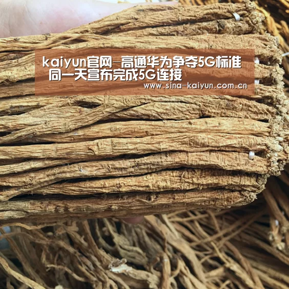 kaiyun官网-高通华为争夺5G标准 同一天宣布完成5G连接(图1) kaiyun官网