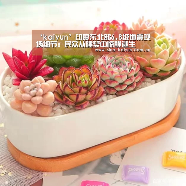 kaiyun官网